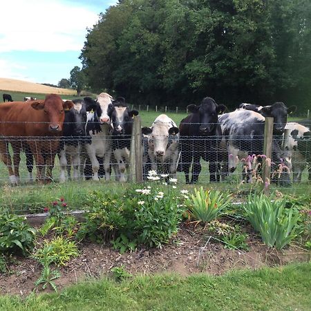 Retreat At The Knowe Auchincruive Estate Bed and Breakfast Ayr Exteriör bild