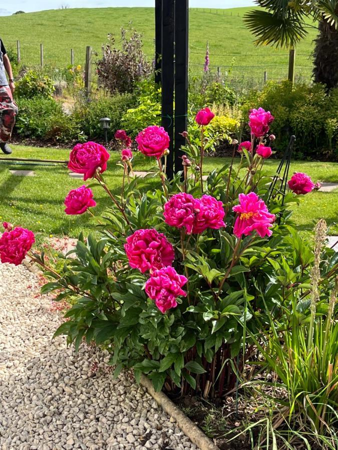 Retreat At The Knowe Auchincruive Estate Bed and Breakfast Ayr Exteriör bild