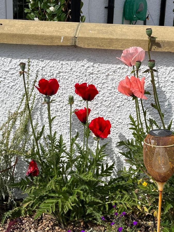 Retreat At The Knowe Auchincruive Estate Bed and Breakfast Ayr Exteriör bild