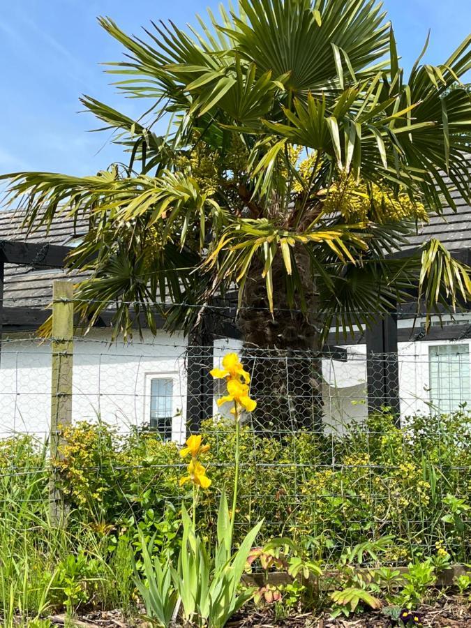 Retreat At The Knowe Auchincruive Estate Bed and Breakfast Ayr Exteriör bild
