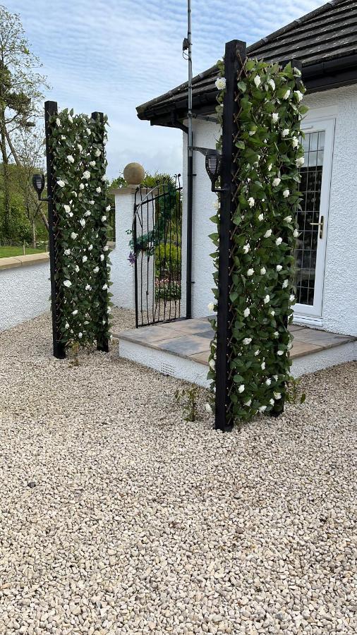 Retreat At The Knowe Auchincruive Estate Bed and Breakfast Ayr Exteriör bild