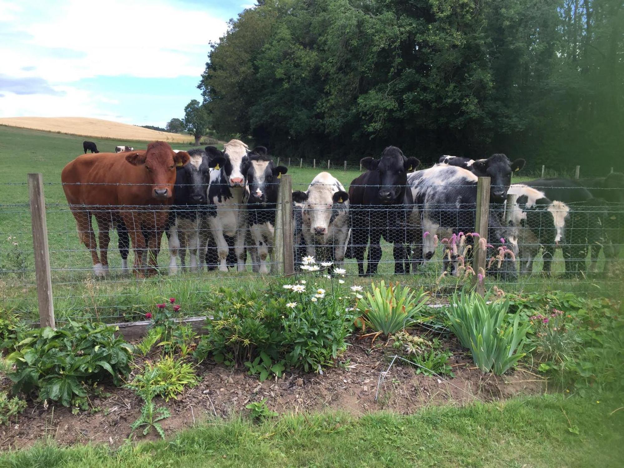 Retreat At The Knowe Auchincruive Estate Bed and Breakfast Ayr Exteriör bild