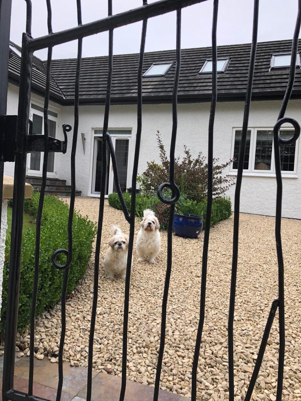 Retreat At The Knowe Auchincruive Estate Bed and Breakfast Ayr Exteriör bild
