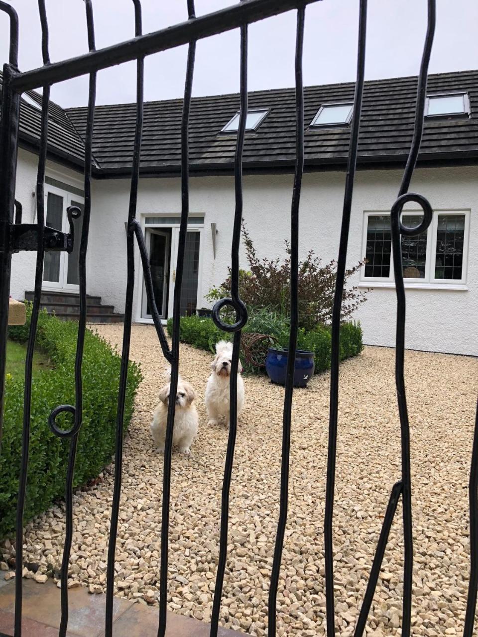 Retreat At The Knowe Auchincruive Estate Bed and Breakfast Ayr Exteriör bild