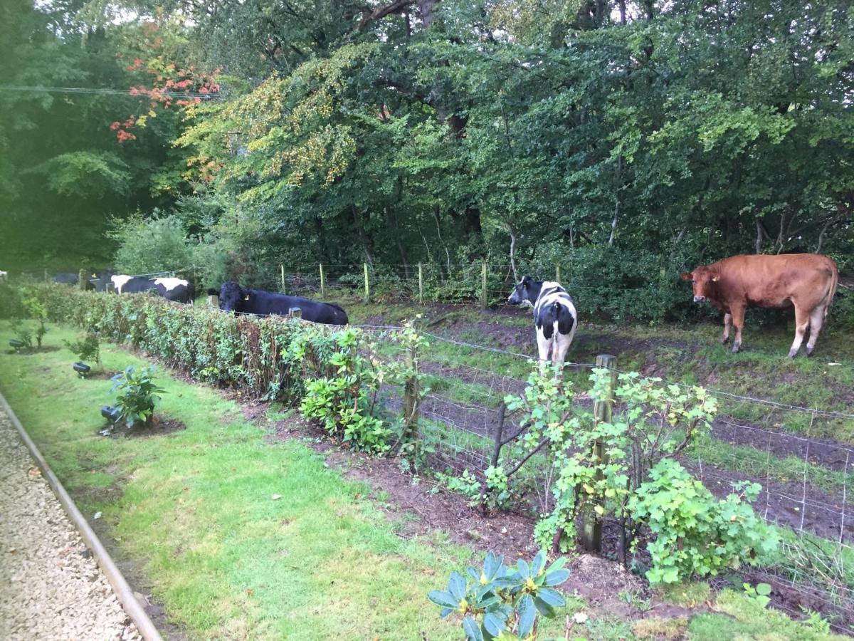 Retreat At The Knowe Auchincruive Estate Bed and Breakfast Ayr Exteriör bild