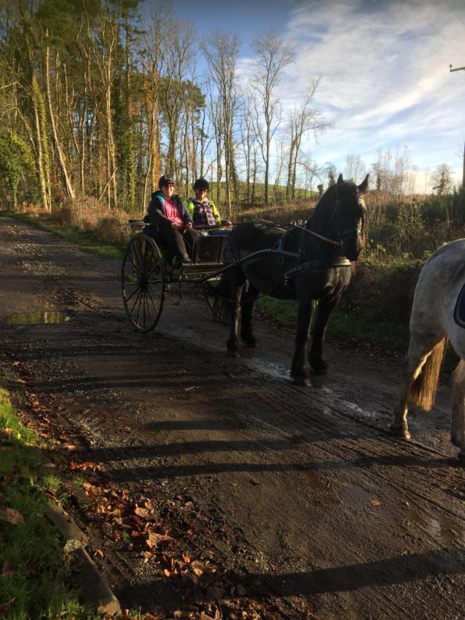 Retreat At The Knowe Auchincruive Estate Bed and Breakfast Ayr Exteriör bild